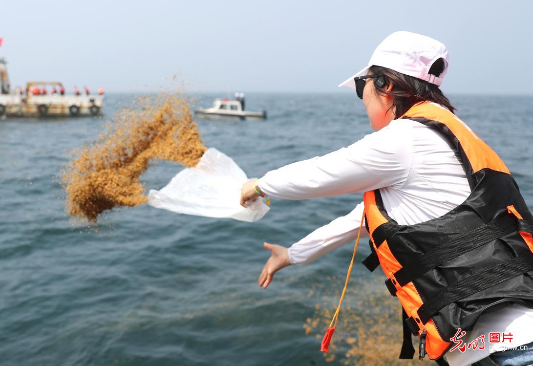 青島 7000多萬單位魚蝦增殖，打造堅實“海上糧倉”