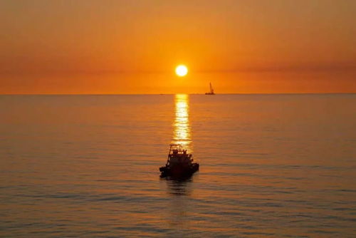 國內首個單體大容量海上風電項目吊裝完成